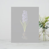 Flowers | Purple Hyacinth Bulb (Standing Front)