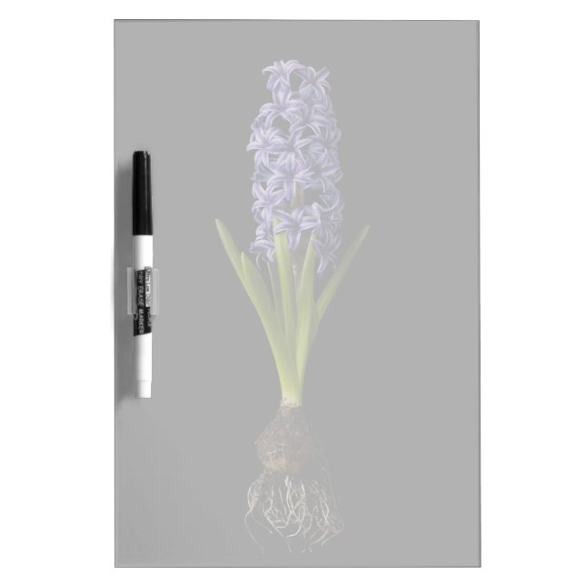 Flowers | Purple Hyacinth Bulb Dry Erase Board (Front)