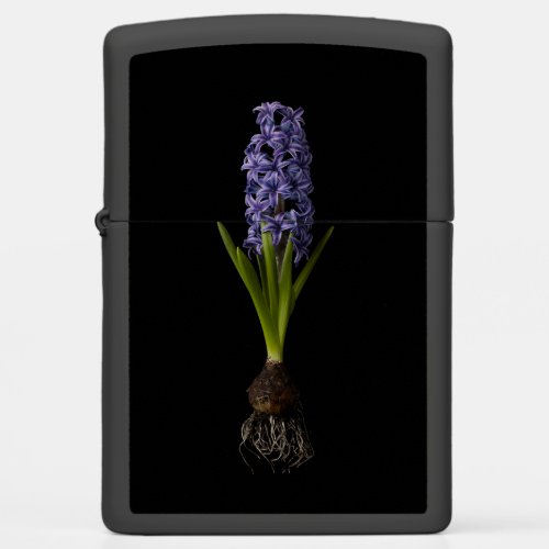 Flowers  Purple Hyacinth Bulb Zippo Lighter