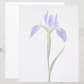 Flowers | Purple Iris Flower (Front/Back)