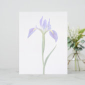 Flowers | Purple Iris Flower (Standing Front)