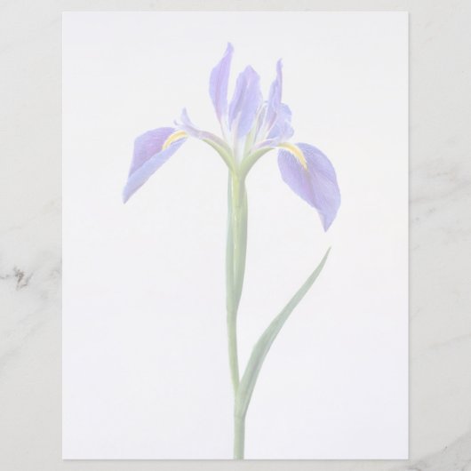 Flowers | Purple Iris Flower (Front)