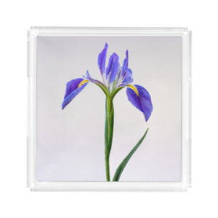 Flowers   Purple Iris Flower Acrylic Tray