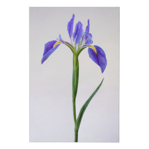 Flowers Purple Iris Flower Faux Canvas Print