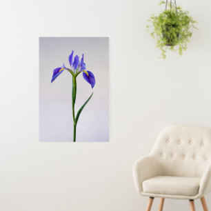 Flowers Purple Iris Flower Foam Board