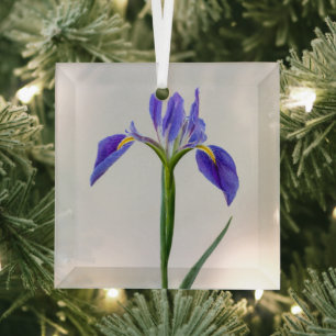 Flowers Purple Iris Flower Glass Ornament