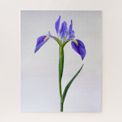 Flowers  Purple Iris Flower Jigsaw Puzzle