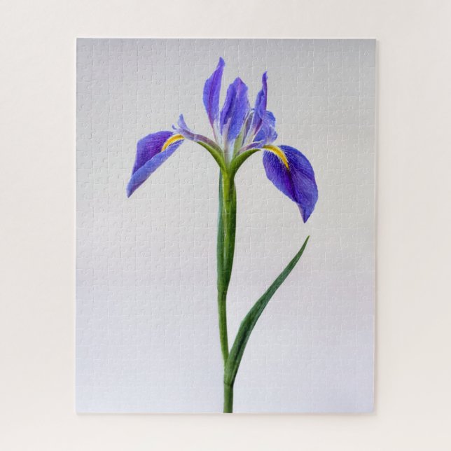 Flowers | Purple Iris Flower Jigsaw Puzzle (Vertical)