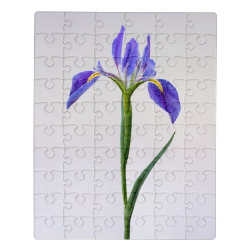 Flowers  Purple Iris Flower Jigsaw Puzzle