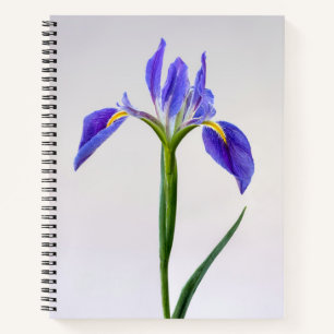 Flowers Purple Iris Flower Notebook