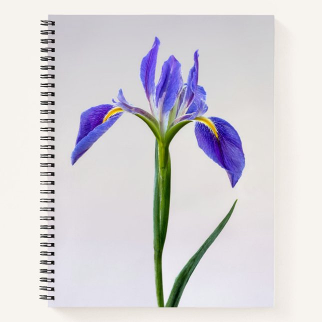 Flowers | Purple Iris Flower Notebook (Front)