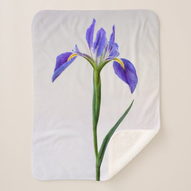 Flowers | Purple Iris Flower Sherpa Blanket (Front)