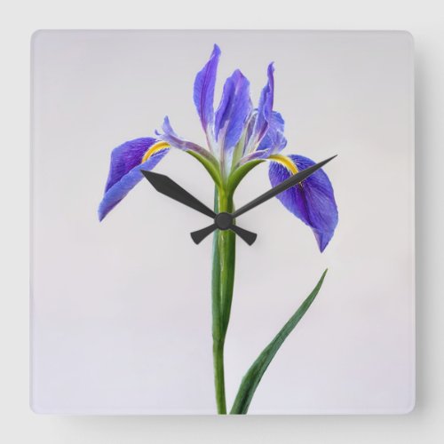 Flowers  Purple Iris Flower Square Wall Clock