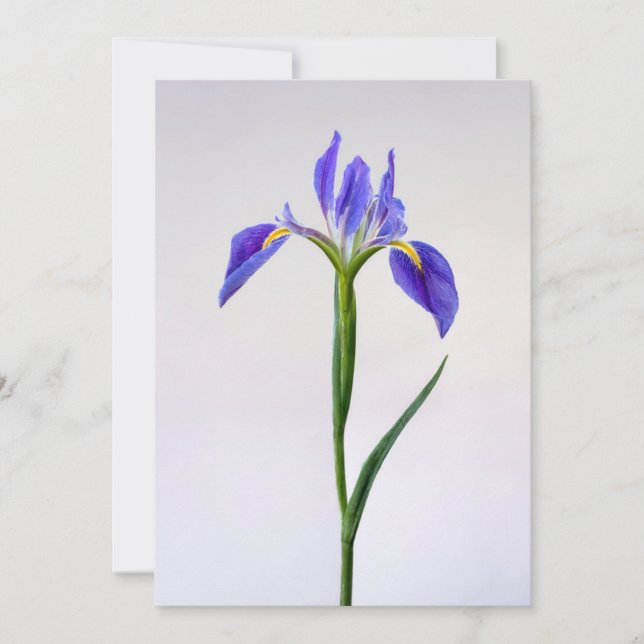 Flowers | Purple Iris Flower Thank You Card (Front)