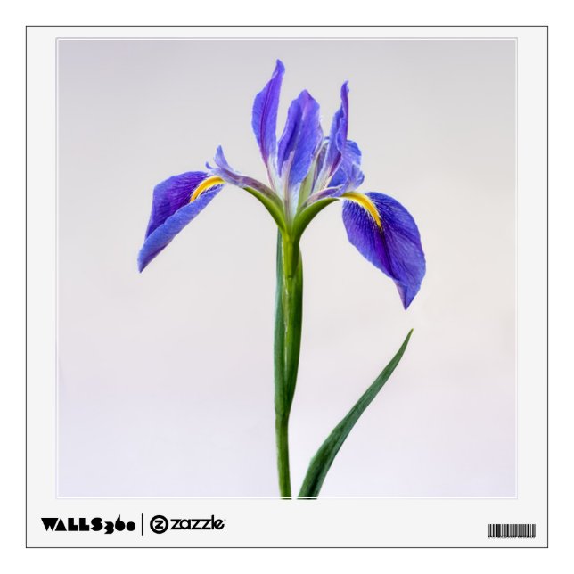 Flowers | Purple Iris Flower Wall Decal (Front)