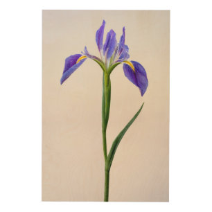 Flowers Purple Iris Flower Wood Wall Art