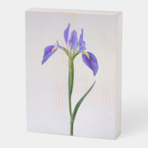 Flowers   Purple Iris Flower Wooden Box Sign
