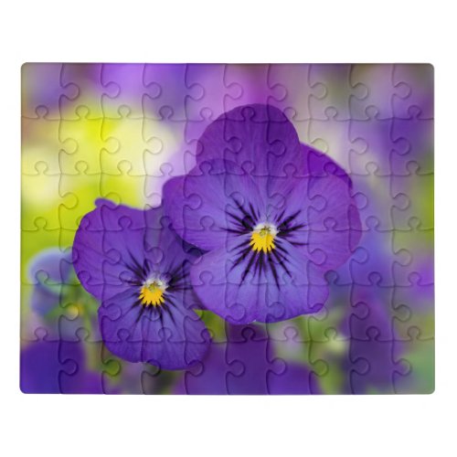 Flowers  Purple Pansies Jigsaw Puzzle