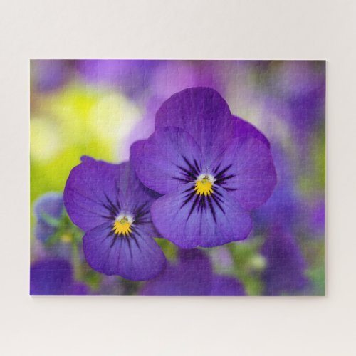 Flowers  Purple Pansies Jigsaw Puzzle