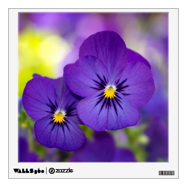Flowers | Purple Pansies Wall Decal (Front)