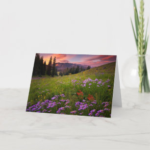 Flowers Purple Wildflowers Colorado Card