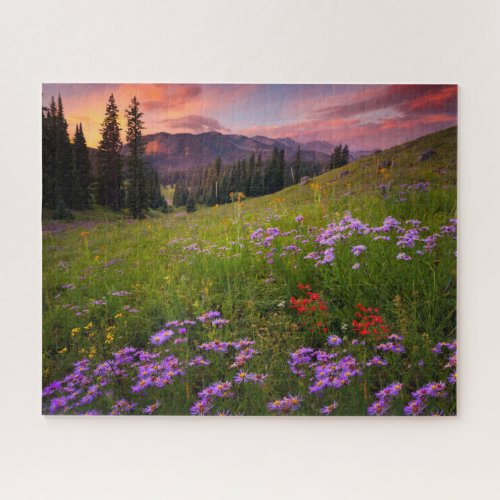 Flowers  Purple Wildflowers Colorado Jigsaw Puzzle