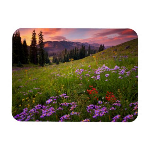 Flowers  Purple Wildflowers Colorado Magnet