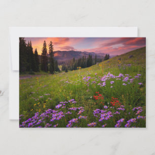 Flowers Purple Wildflowers Colorado Thank You Card