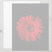 Flowers | Red Gerbera Daisy (Front/Back)