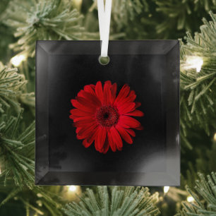Flowers Red Gerbera Daisy Glass Ornament