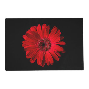 Flowers Red Gerbera Daisy Placemat