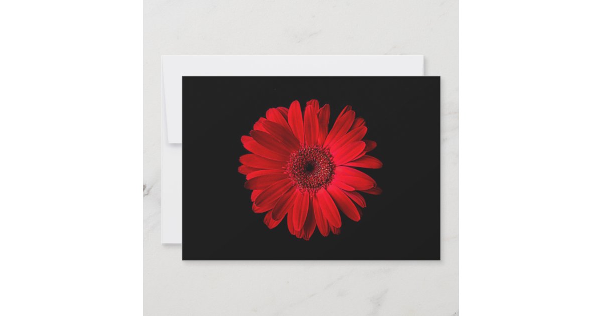 Flowers | Red Gerbera Daisy Thank You Card | Zazzle