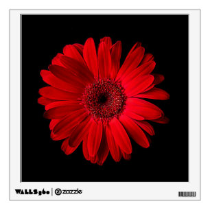 Flowers Red Gerbera Daisy Wall Decal
