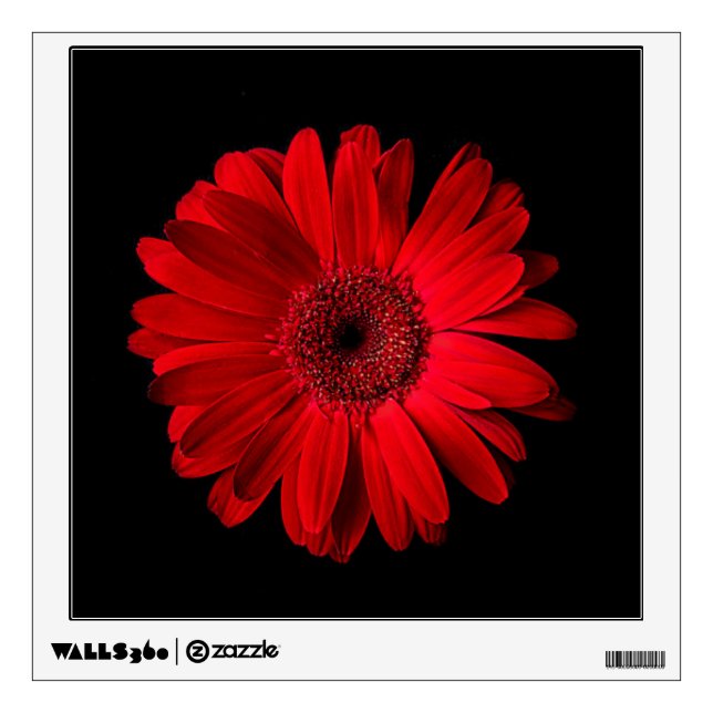 Flowers | Red Gerbera Daisy Wall Decal (Front)