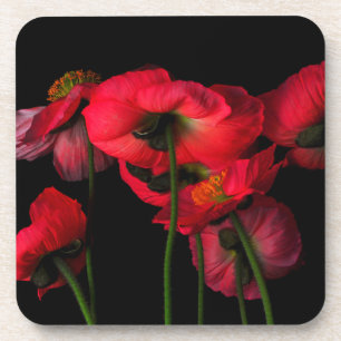 Flowers   Red Poppies Beverage Coaster