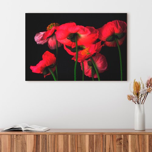 Flowers  Red Poppies Canvas Print