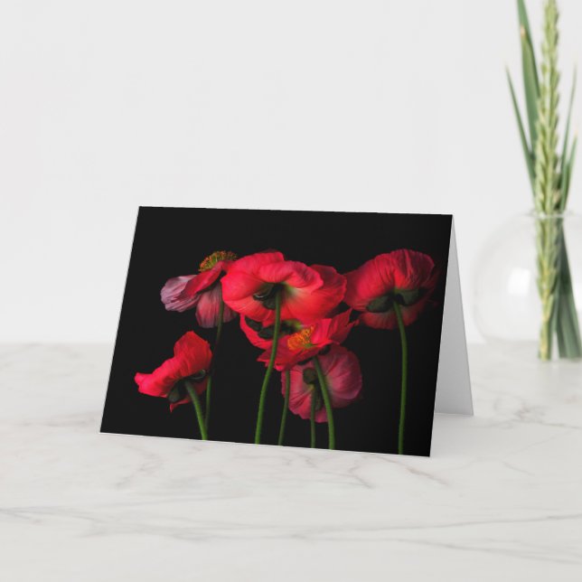 Flowers | Red Poppies Card (Front)