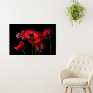 Flowers Red Poppies Foam Board