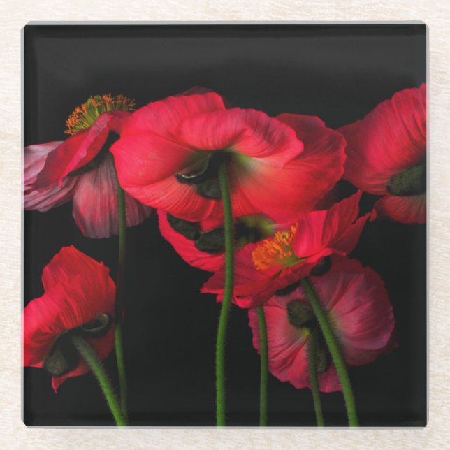 Flowers | Red Poppies Glass Coaster (Front)