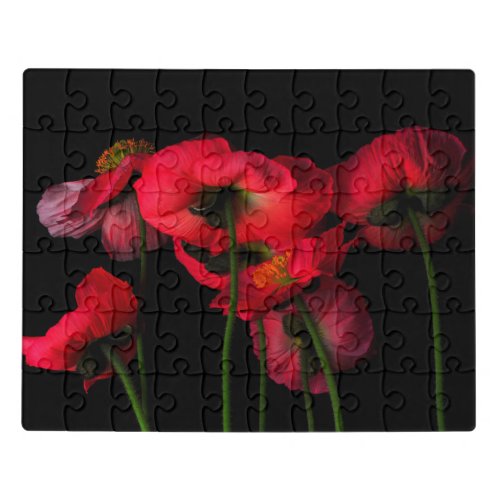 Flowers  Red Poppies Jigsaw Puzzle