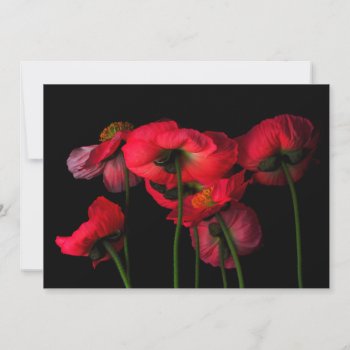 Flowers | Red Poppies Thank You Card by intothewild at Zazzle