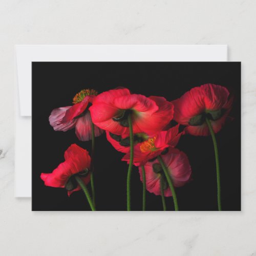 Flowers  Red Poppies Thank You Card