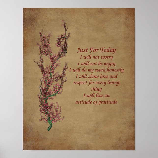 Flowers Reiki Just For Today Inspirational Poster (Front)
