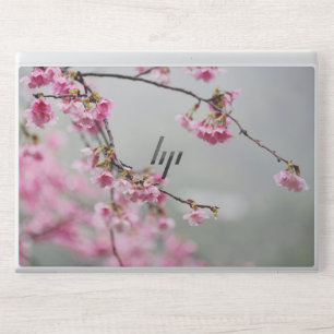 Flowers Sakura Cerasus Campanulata HP Laptop Skin