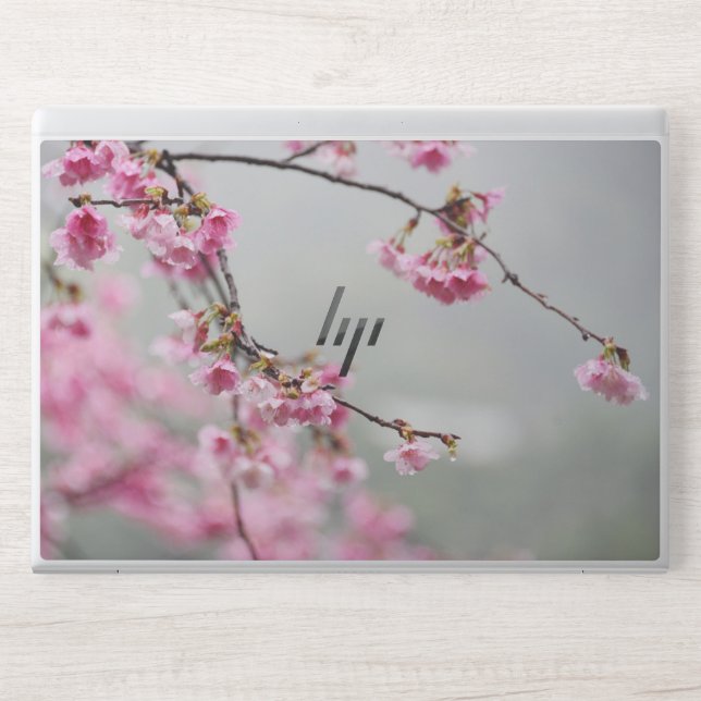 Flowers Sakura Cerasus Campanulata HP Laptop Skin (Front)