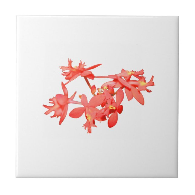 Flowers Salmon Tinted Ground Orchid Tile (Front)