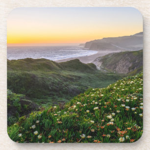 Flowers   Santa Cruz California Beverage Coaster