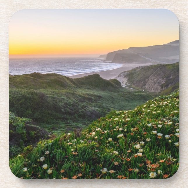 Flowers | Santa Cruz California Beverage Coaster (Front)