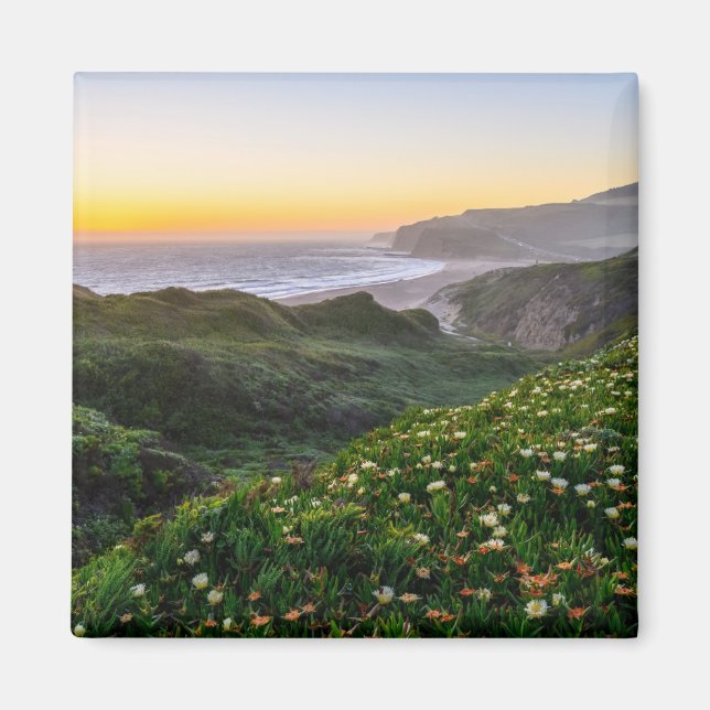 Flowers | Santa Cruz California Magnet (Front)