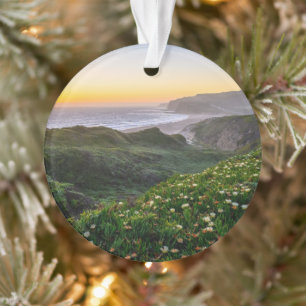 Flowers Santa Cruz California Ornament